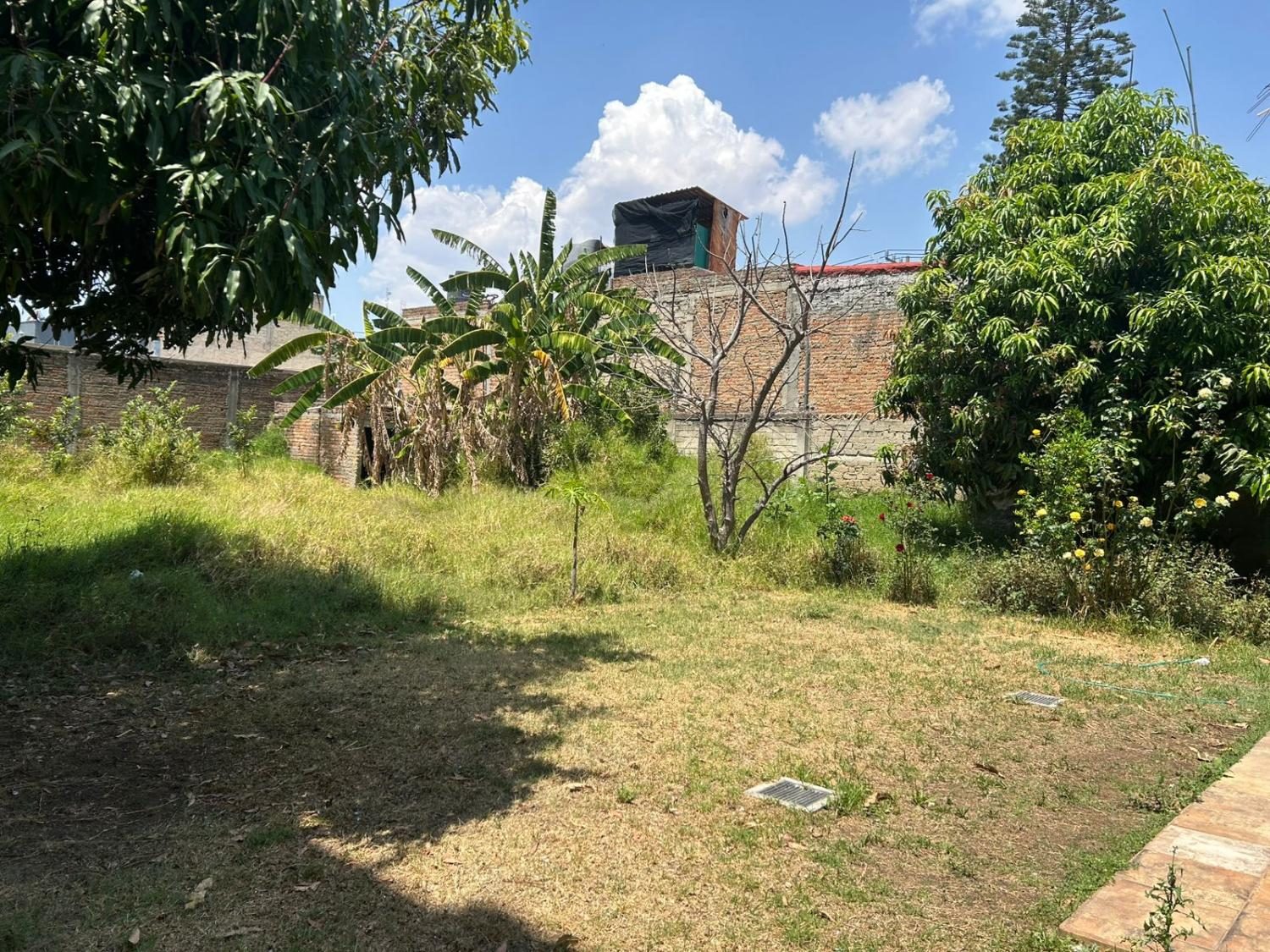 Predio para desarrollo vertical en Nuevo México · foto 4